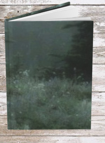 Misty Forest Daily Journal - Hardcover - Your Ultimate Companion for Planning, Reflection, and Personal Growth