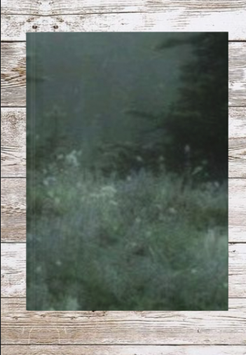 Misty Forest Daily Journal - Hardcover - Your Ultimate Companion for Planning, Reflection, and Personal Growth