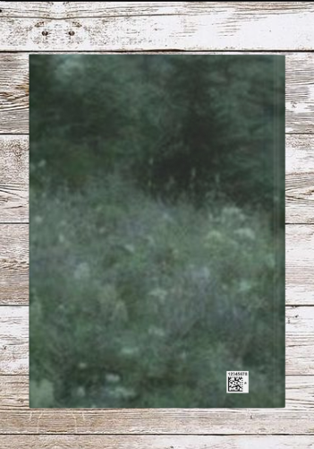Misty Forest Daily Journal - Hardcover - Your Ultimate Companion for Planning, Reflection, and Personal Growth